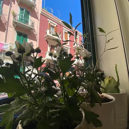 Stanza Camilla Appartement Bari